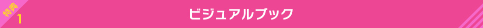 ビジュアルブック