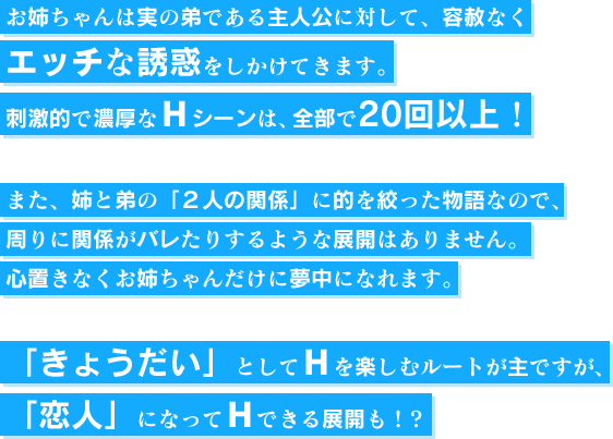 お姉ちゃんは実の弟である主人公に対して、容赦なくエッチな誘惑をしかけてきます。刺激的で濃厚なＨシーンは、全部で20回以上！また、姉と弟の「２人の関係」に的を絞った物語なので、周りに関係がバレたりするような展開はありません。心置きなくお姉ちゃんだけに夢中になれます。「きょうだい」としてＨを楽しむルートが主ですが、「恋人」になってＨできる展開も！? 